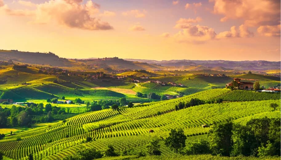 Le Langhe insolite: 5 luoghi sorprendenti da vedere